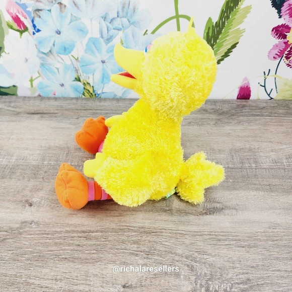 Sea World Sesame Place Big Bird Plush 12" Stuffed Animal 2019 Seaworld - Picture 4 of 7